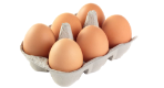 half dozen Eggs